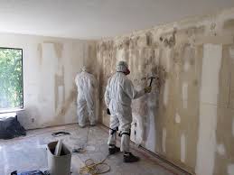 Reliable Brandywine Bay, NC Mold Remediation Solutions